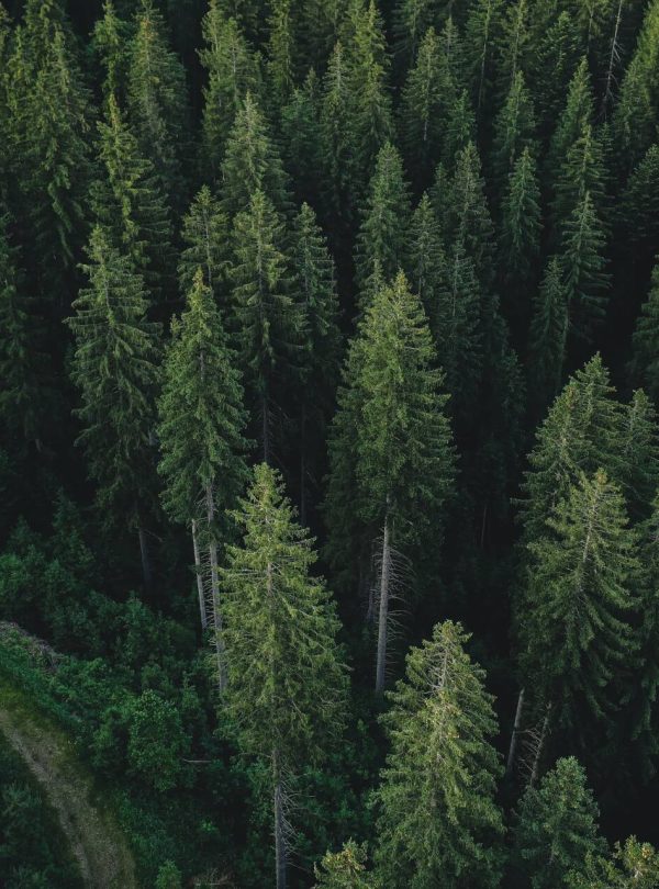 shutterstock_2314215443